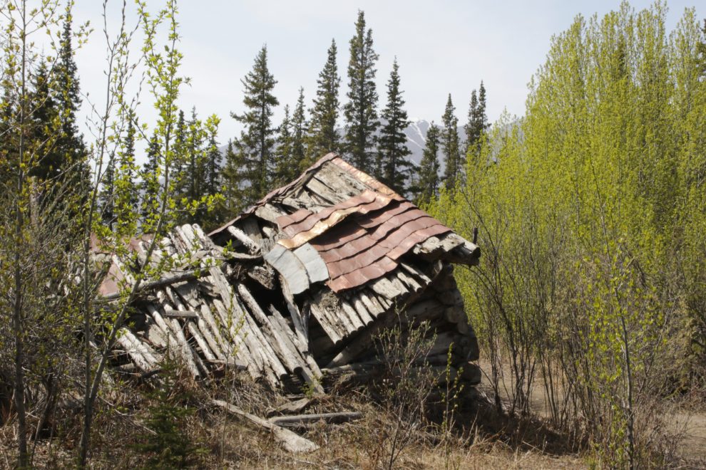 The ghost town of Silver City, Yukon.