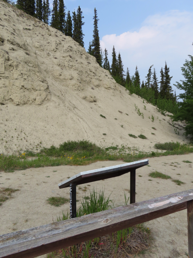 The slope above the viewpoint on the East Airport Access Road Trail in Whitehorse, Yukon.