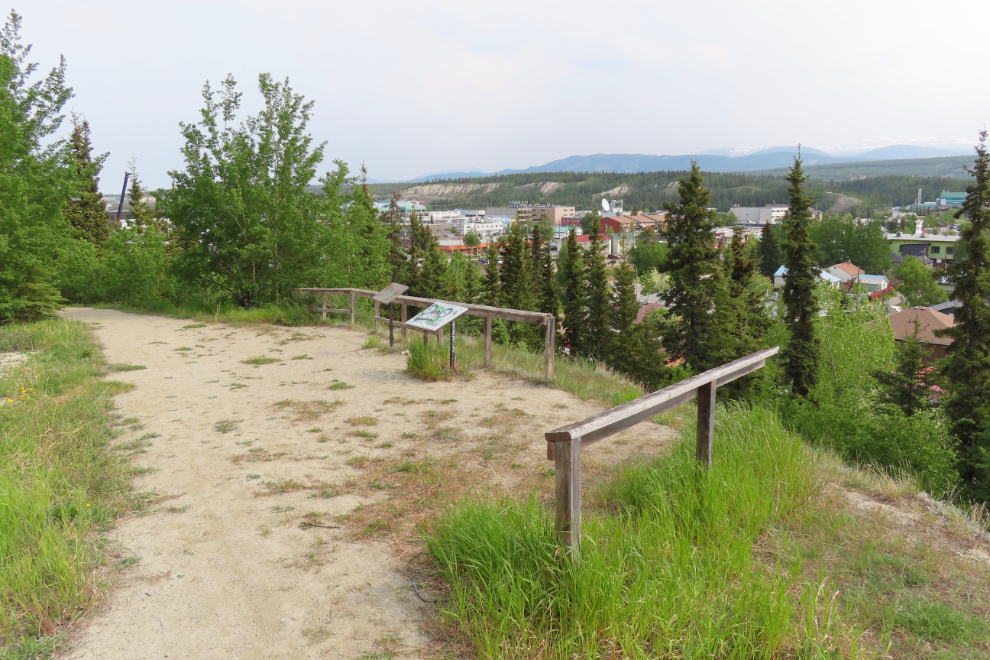 The viewpoint on the East Airport Access Road Trail in Whitehorse, Yukon.