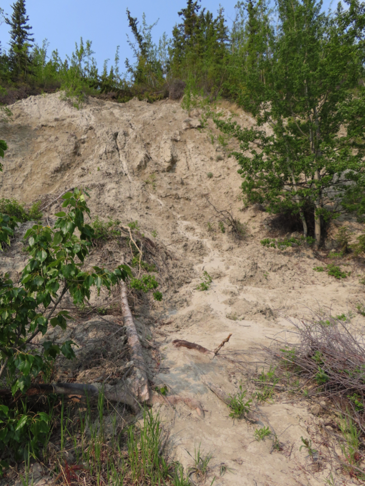A slide long the East Airport Access Road Trail in Whitehorse, Yukon.