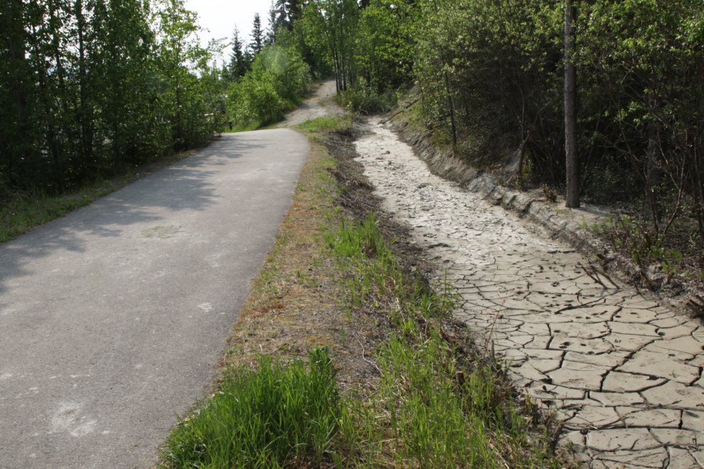 Mud settling in ditch along the East Airport Access Road Trail in Whitehorse, Yukon.