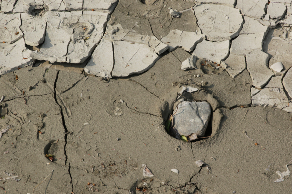 Mud settling in ditch along the East Airport Access Road Trail in Whitehorse, Yukon.