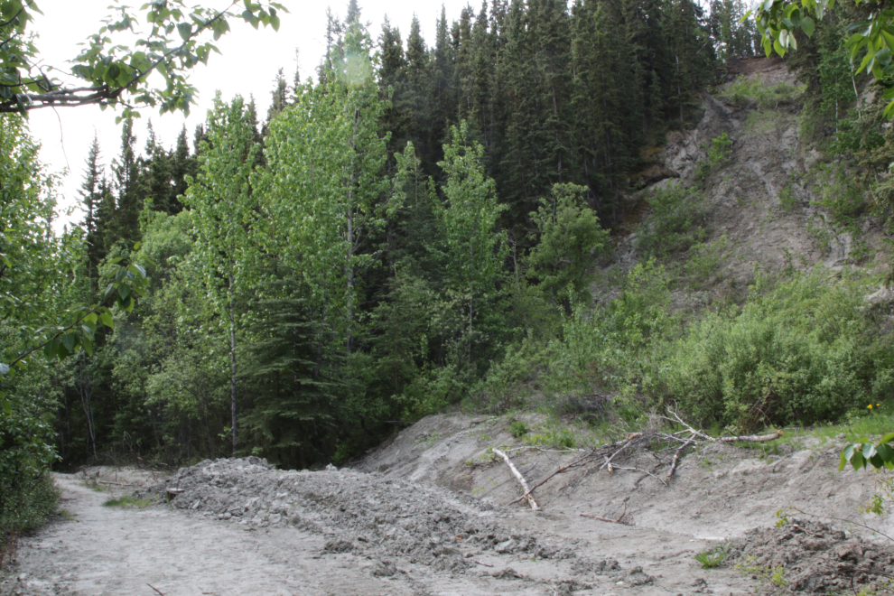 A slide along the East Airport Access Road Trail in Whitehorse, Yukon.