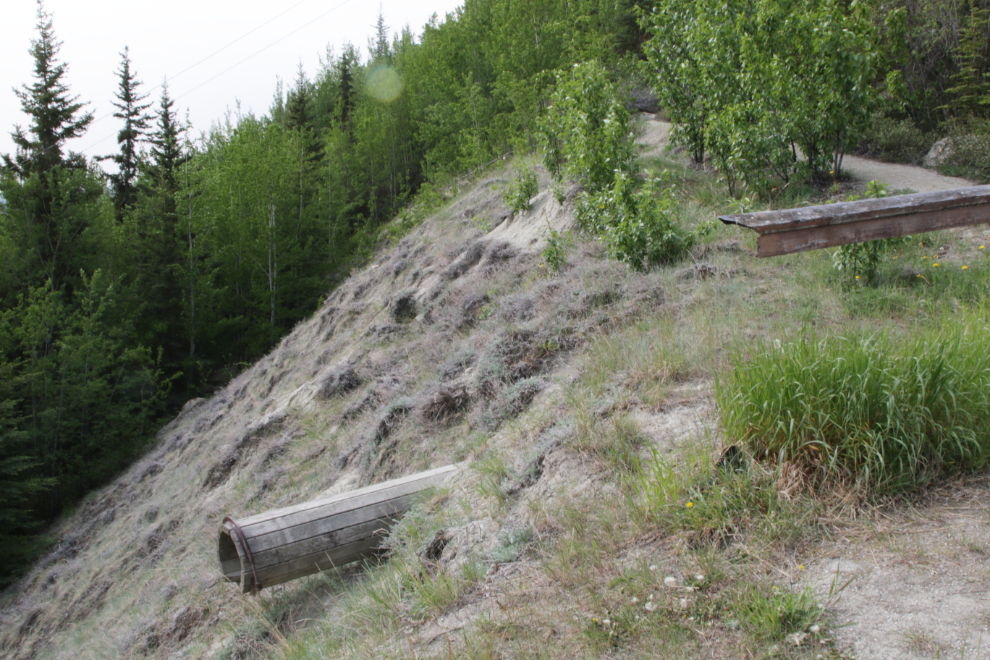 A wooden culvert at the viewpoint on the East Airport Access Road Trail in Whitehorse, Yukon.