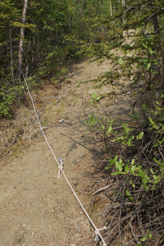 An informal trail leads up the escarpment from the East Airport Access Road Trail in Whitehorse, Yukon.