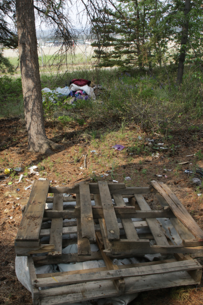 A homeless camp in the forest along the Whitehorse airport.