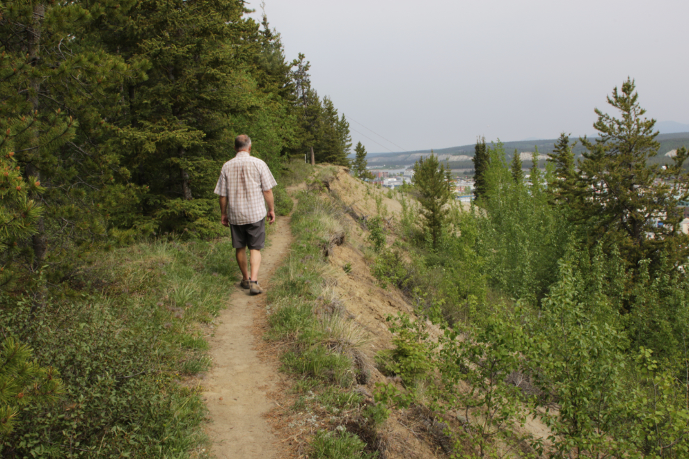 Walking along the top of the clay cliffs at Whitehorse, Yukon.