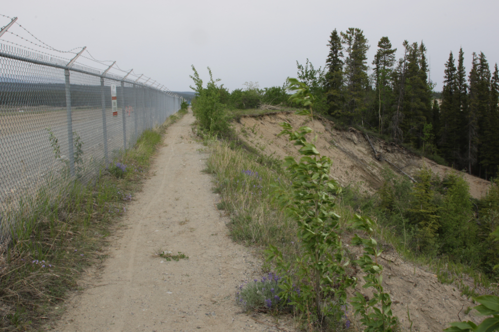 A slide along along the Whitehorse airport trails.