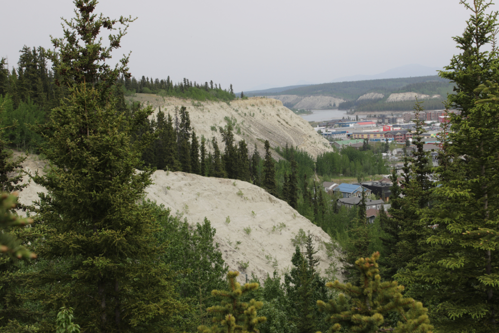 The clay cliffs at Whitehorse, seen from the airport trail.