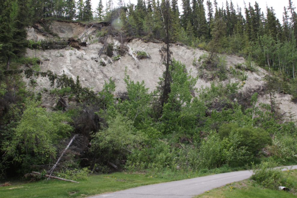 A large slide at Jan Montgomery Park, at the base of the escarpment at Whitehorse, Yukon.