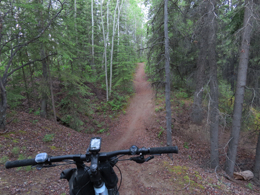 The Sage Trail biking/walking trail in Whitehorse, Yukon.