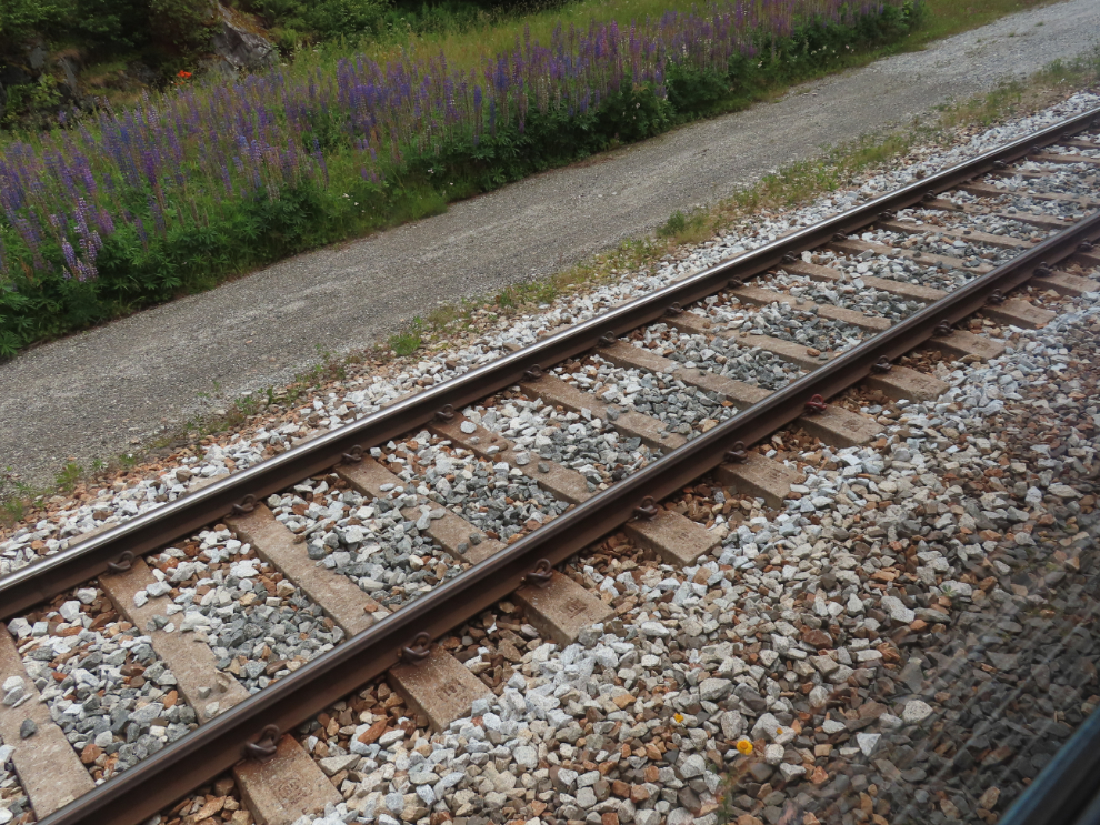 Welded rail and concrete ties on the route of the Golden Train at Aldalsnes, Norway.