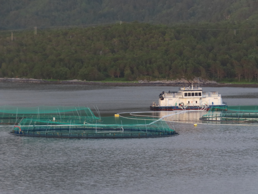 A salmon fam along the coast of Norway.