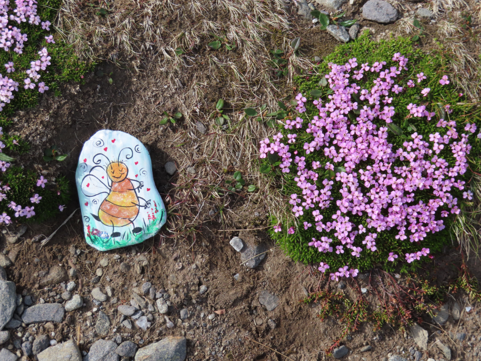 Wildflowers and a love rock at Nordkapp (North Cape), Norway.