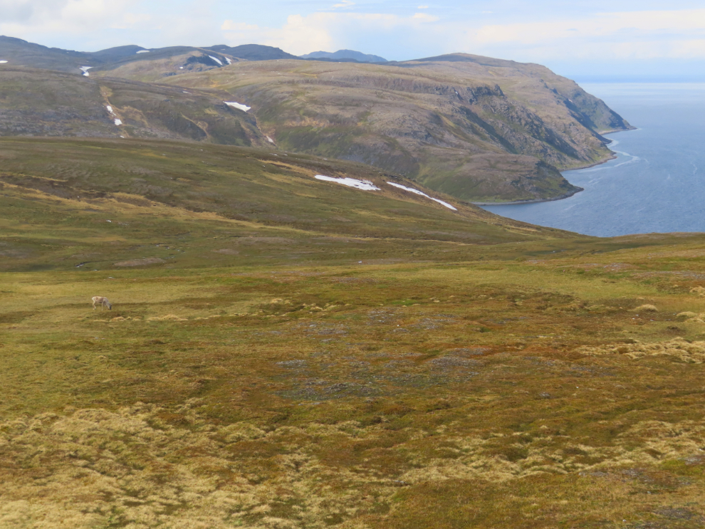 The beautiful coast on the 33-km drive from Nordkapp to Honningsvag, Norway.