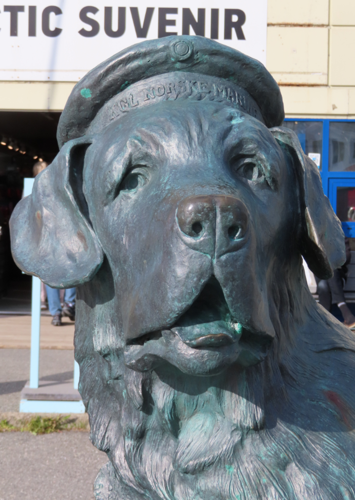 A sculpture of Bamse (the Norwegian word for a male bear) was a St. Bernard dog that became the heroic mascot of the Free Norwegian Forces during the Second World War, at Honningsvag, Norway.