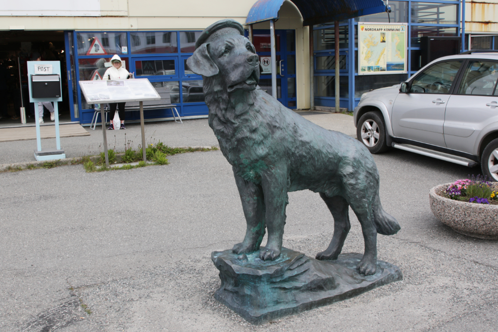 A sculpture of Bamse (the Norwegian word for a male bear) was a St. Bernard dog that became the heroic mascot of the Free Norwegian Forces during the Second World War, at Honningsvag, Norway.
