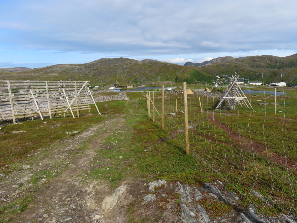 Snow fences and a reindeer fence above Hammerfest, Norway.