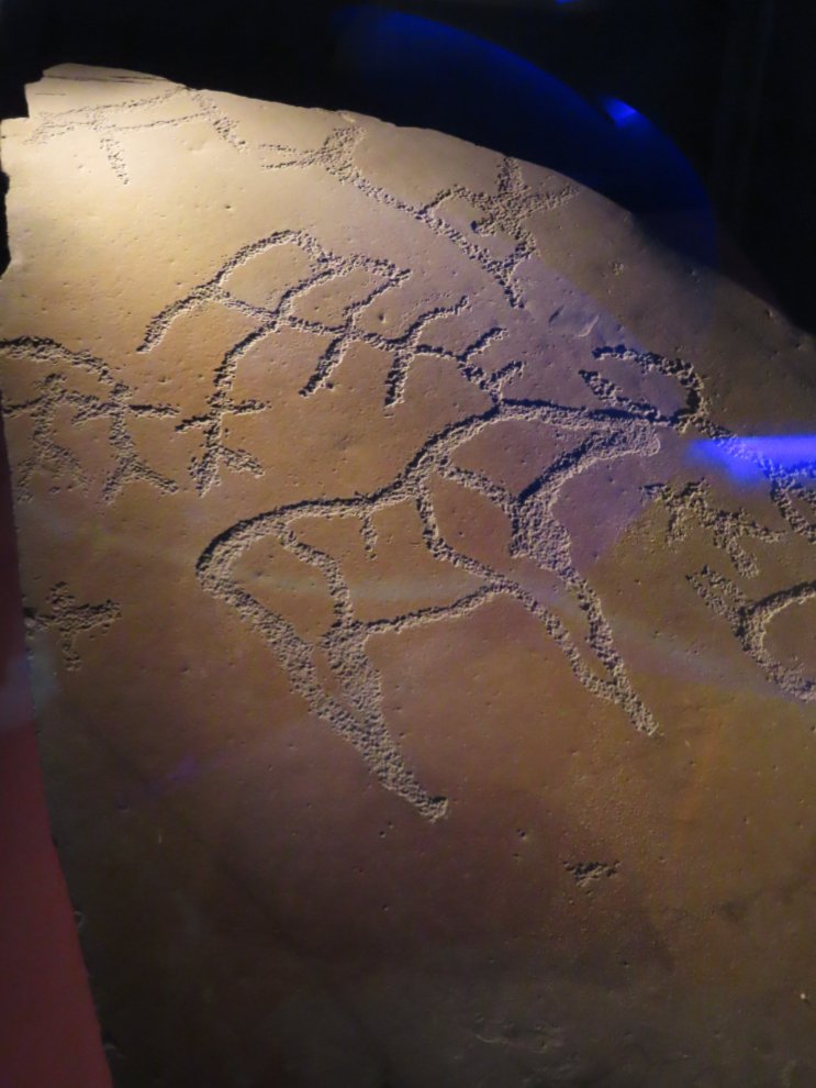 World Heritage Rock Art Centre - Alta Museum, Norway.