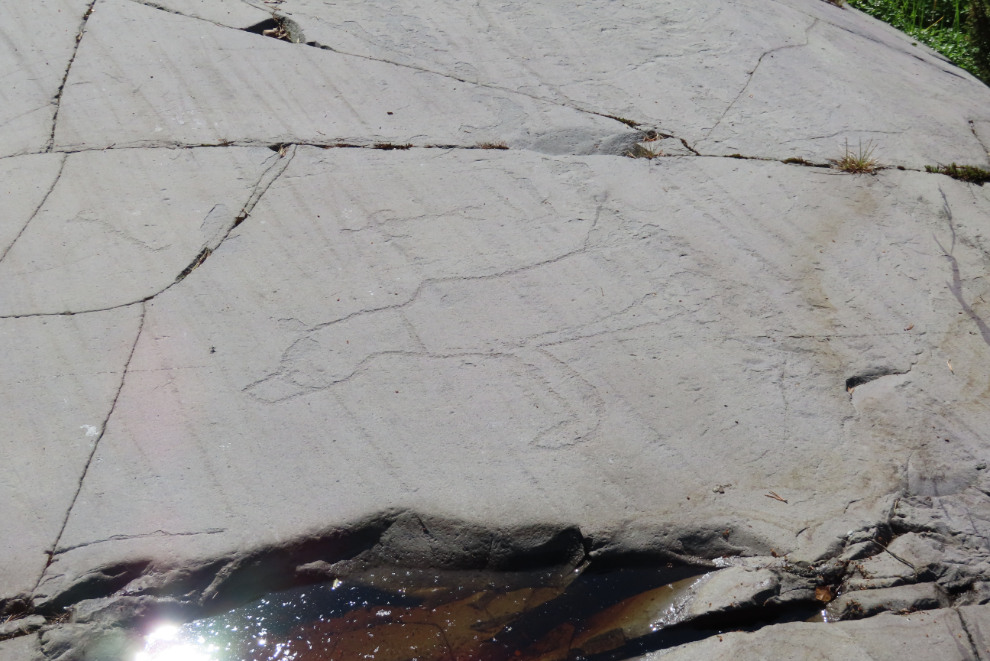 Rock art at the World Heritage Rock Art Centre - Alta Museum, Norway.