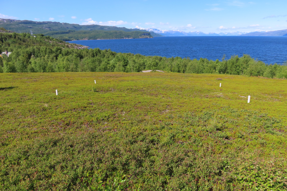 Depressions left by prehistoric dwellings at the World Heritage Rock Art Centre - Alta Museum, Norway.
