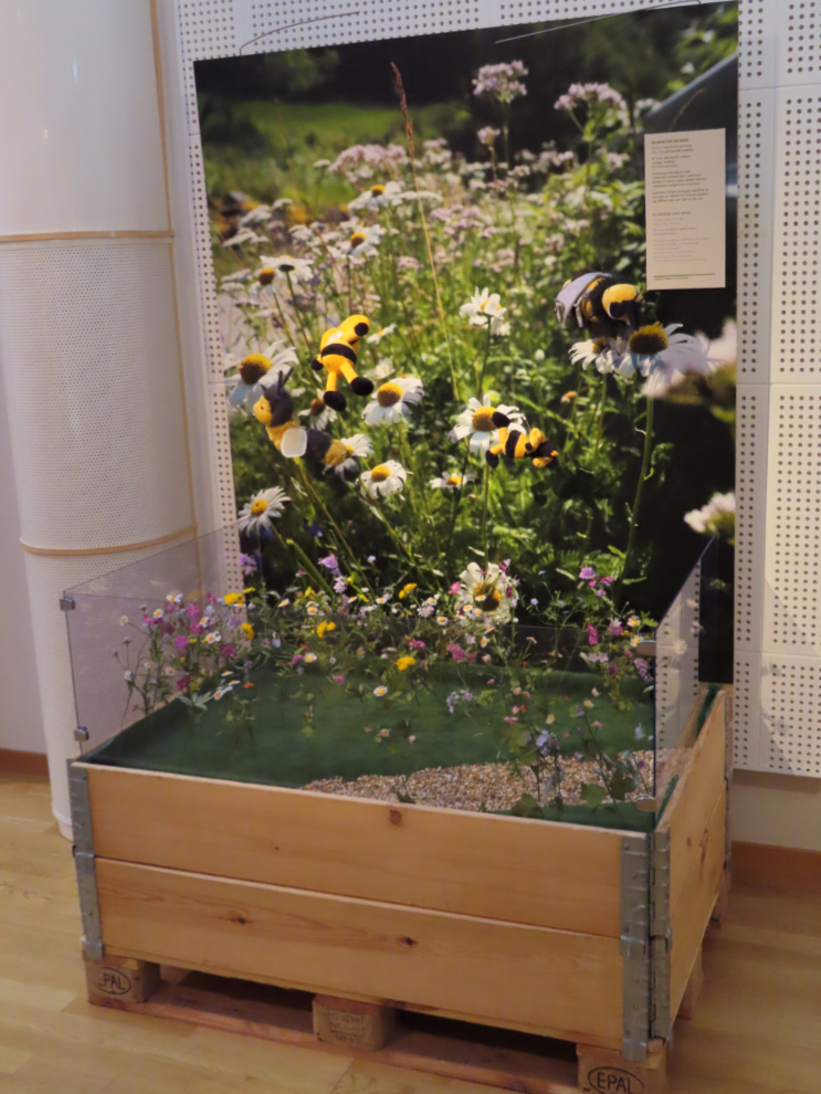 Information about food and bees at the World Heritage Rock Art Centre - Alta Museum, Norway.