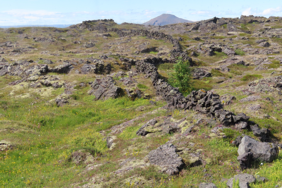 A lava-rock fence across the highway from the Myvatn hotel in Iceland.