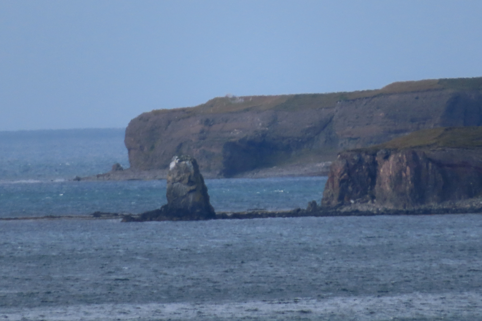 Sailing from Husavik, Iceland.