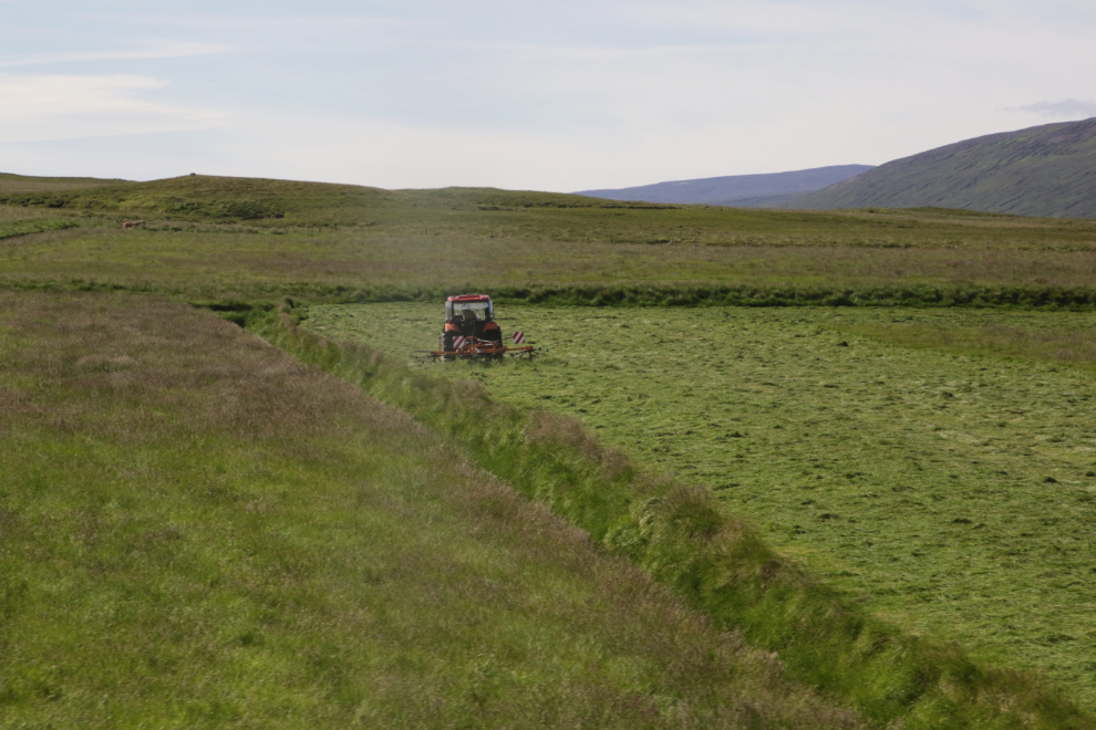 Cutting hay near Husavik, Iceland.