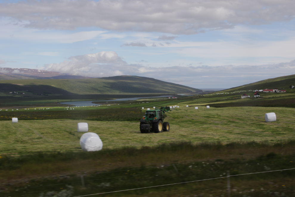 Gathering hay near Godafoss, Iceland.