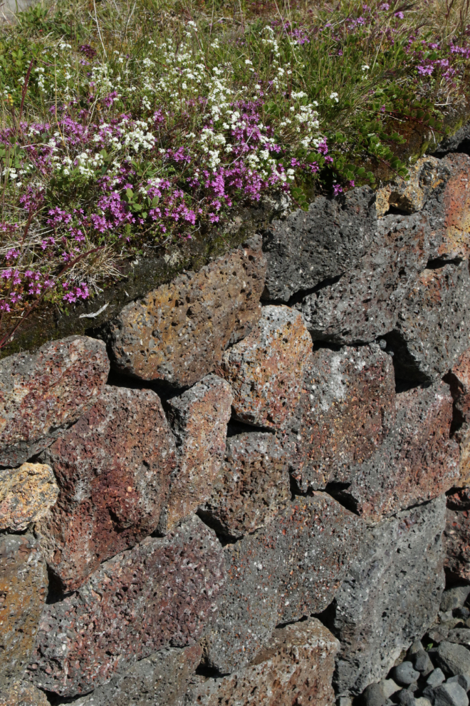A lava-rock wall with a teeny moss garden on top at the Myvatn hotel in Iceland.
