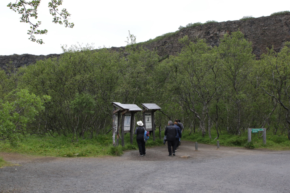 Walking to a horseshoe-shaped canyon called Asbyrgi (Fortress of the Gods) in Iceland.