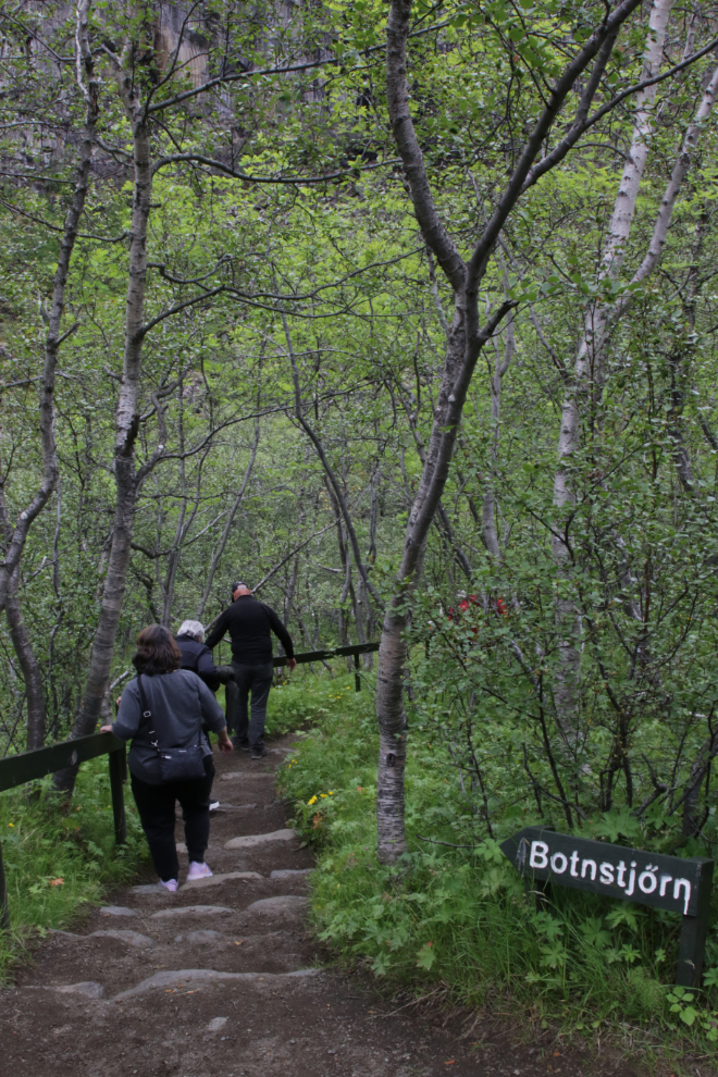 Walking to a horseshoe-shaped canyon called Asbyrgi (Fortress of the Gods) in Iceland.