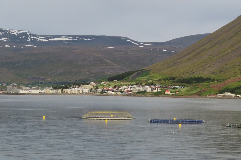 A salmon farm at Isafjordur, Iceland.
