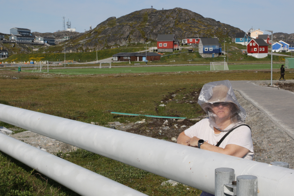 My wife with a bug head-net at Paamiut, Greenland.