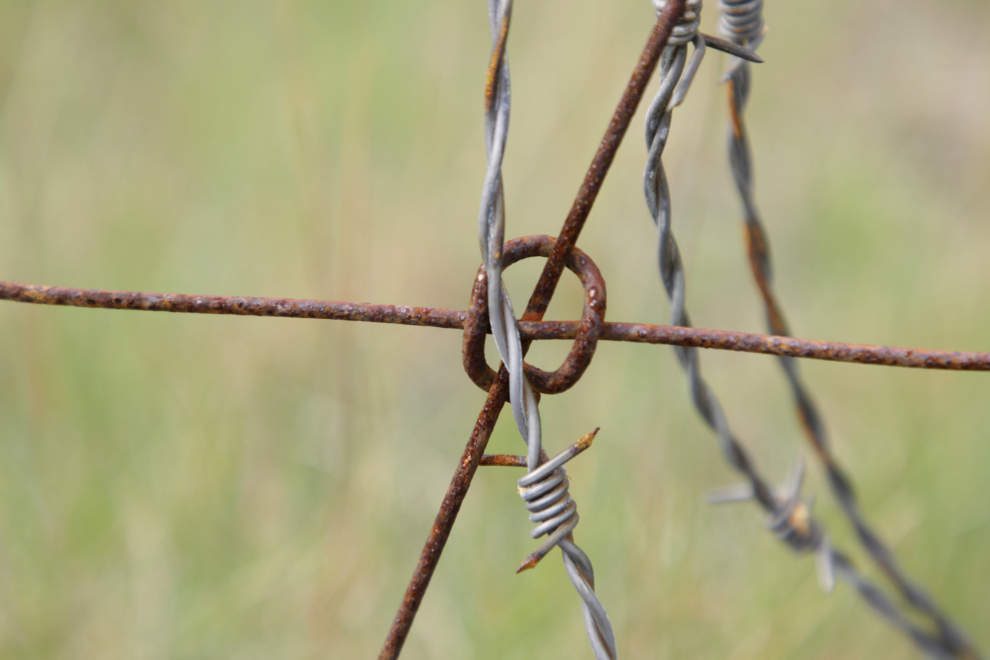 A wire fence at an abandoned farm below Kirkjufell at Grundarfjordur, Iceland.