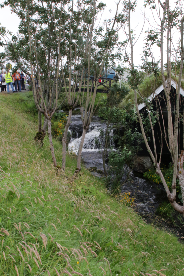 A creek along the road at Runavik, Faroe Islands.