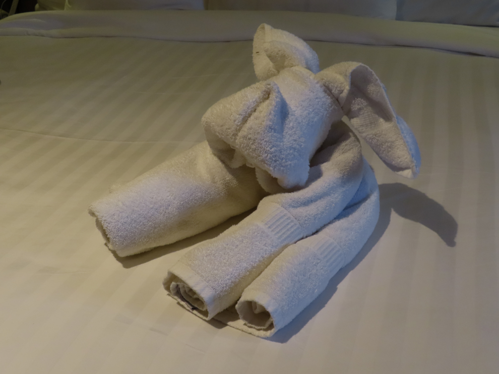 A towel animal on our bed on the Holland America cruise ship Nieuw Statendam.