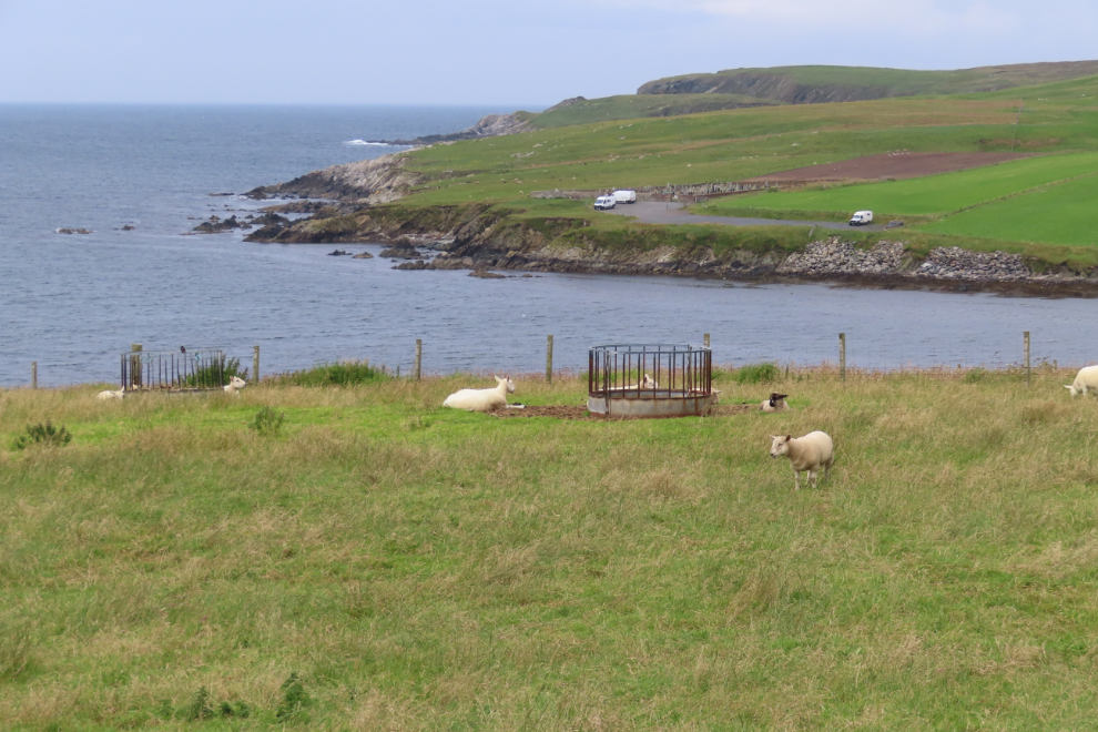 The coast just north of St. Ninian beach in Shetland.