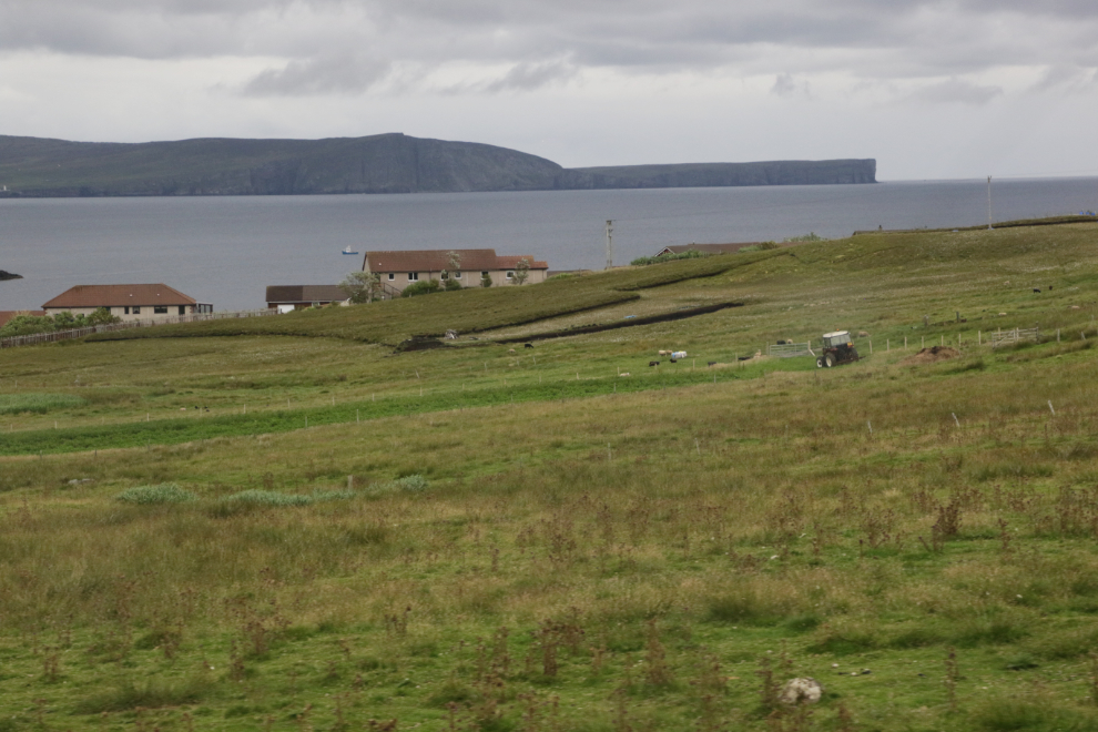 A coastal farming scene on a road trip in southern Shetland.