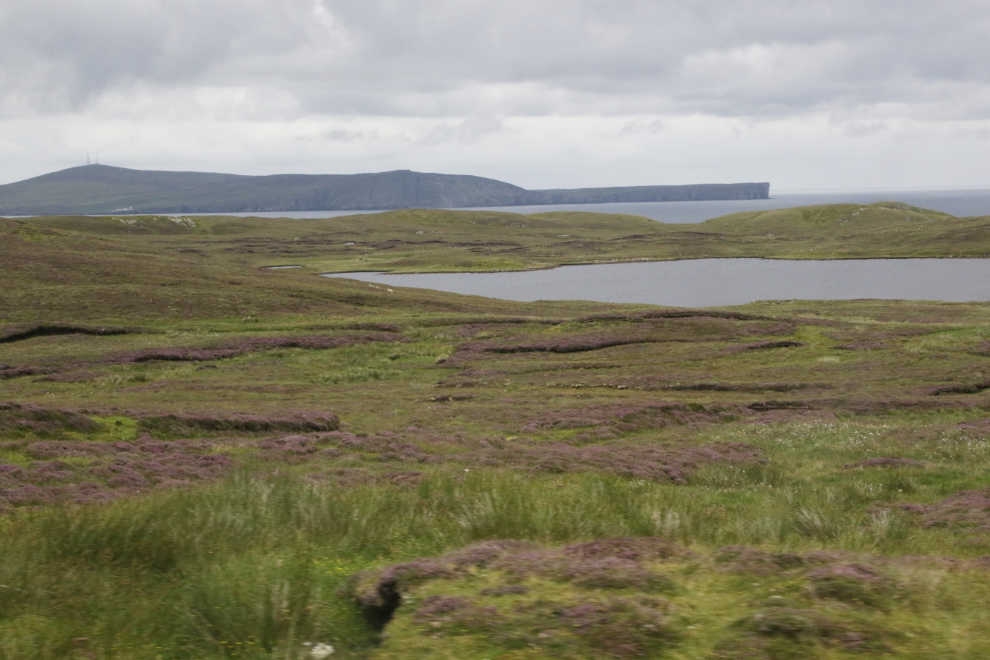 Coastal peatlands seen on a road trip in southern Shetland.