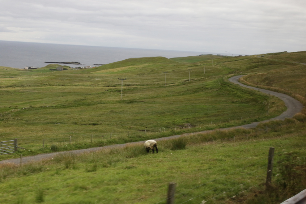 A coastal scene on a road trip in southern Shetland.
