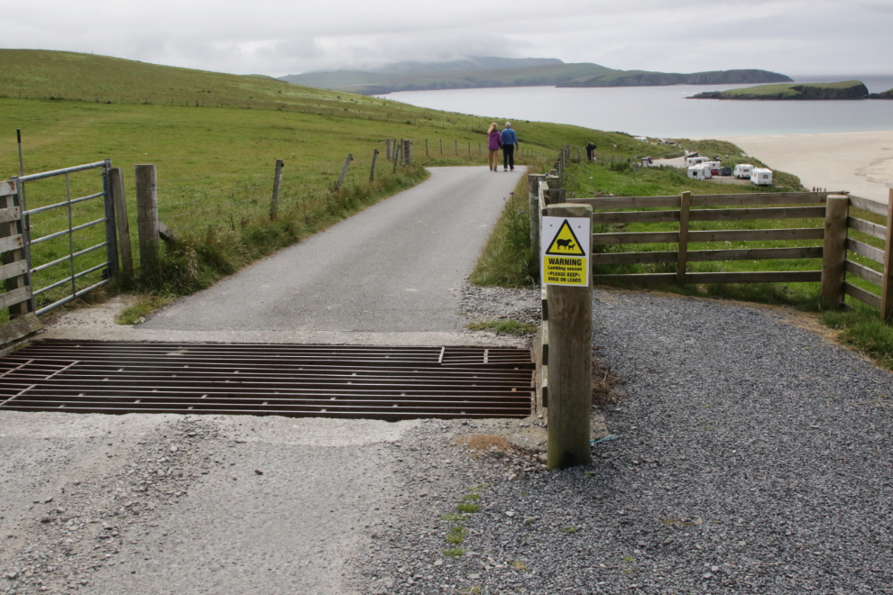 Walking down to St. Ninian beach in Shetland.
