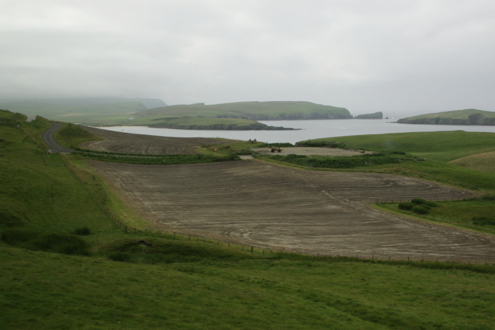 A coastal farming scene on a road trip in southern Shetland.
