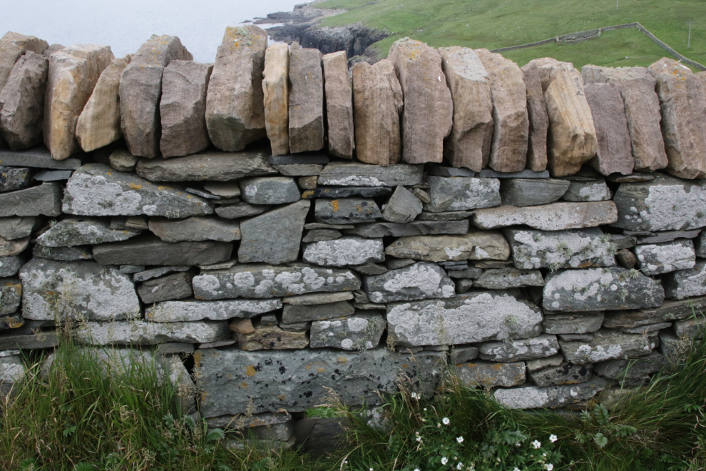A fine stone wall at Sumburgh Head Lighthouse, Shetland.