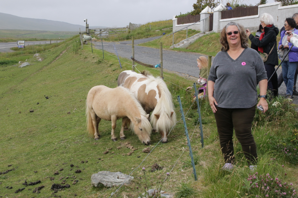 My wife finally gets to meet Shetland ponies in Shetland!