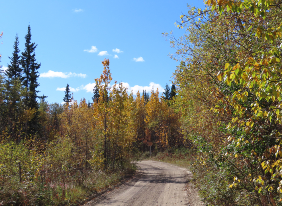 The dirt road into the Copper Belt from Mary Lake at Whitehorse, Yukon. 