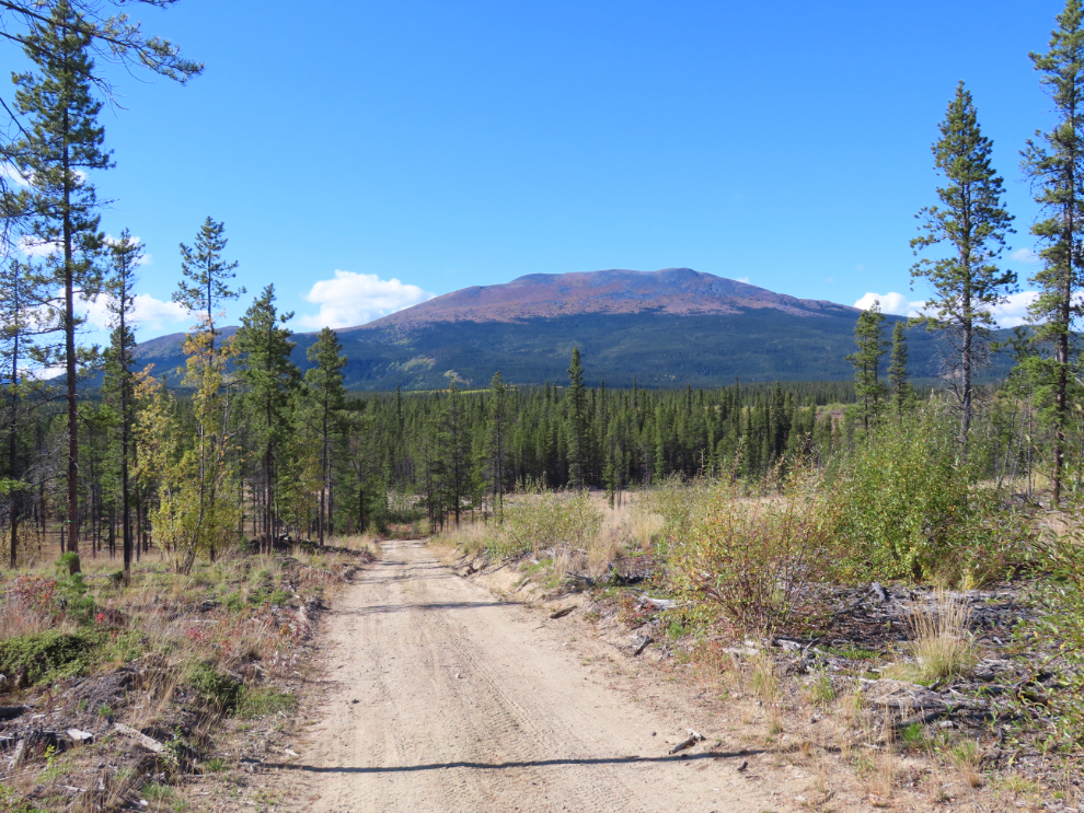 A dirt road through a massive firebreak cut at Whitehorse, Yukon. 