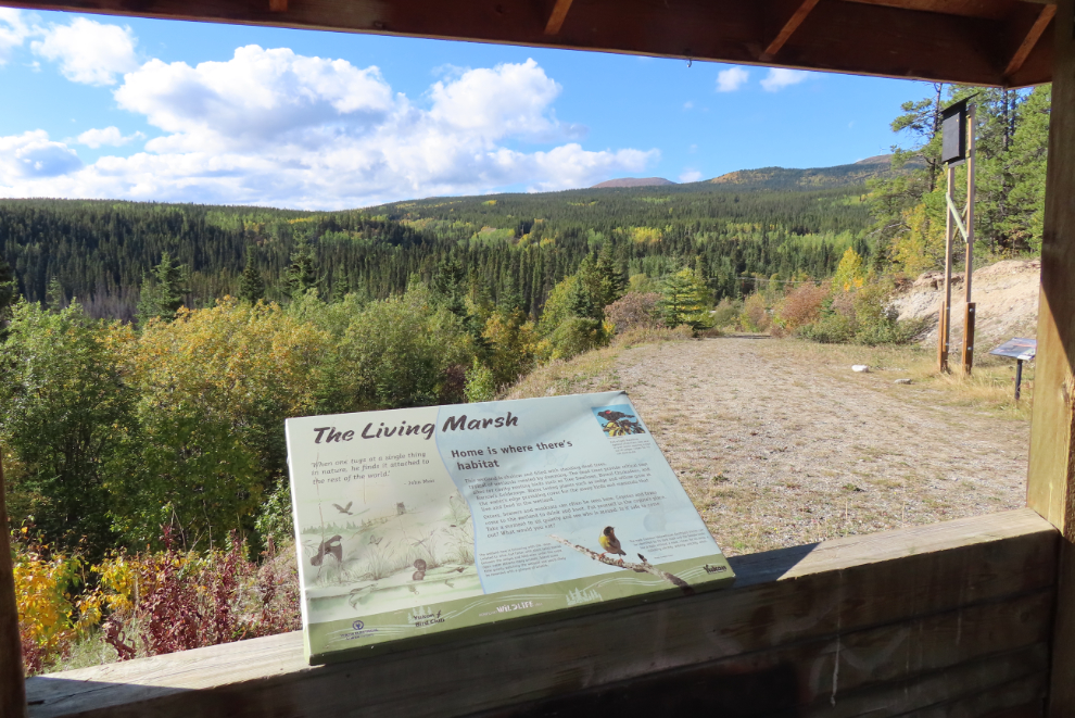The McIntyre Marsh interpretive area at Whitehorse, Yukon.