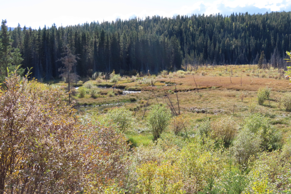 The McIntyre Marsh interpretive area at Whitehorse, Yukon.